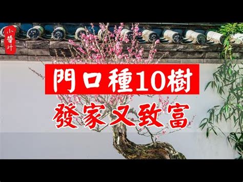 門口種什麼植物|10種旺財門口植物